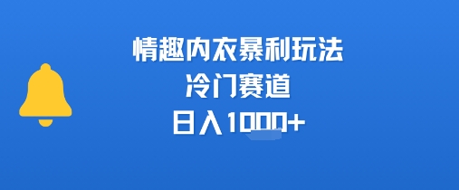 情趣内衣暴利玩法，冷门赛道，日入1k+-福源网创资源站