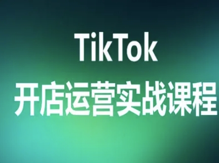 TikTok开店运营实战课程，TK跨境电商实操全流程-福源网创资源站