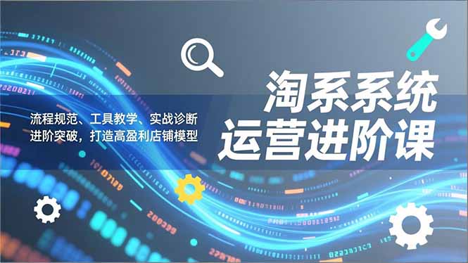 淘系系统运营进阶课2.0，流程规范、工具教学、实战诊断，进阶突破，打造高盈利店铺模型-福源网创资源站
