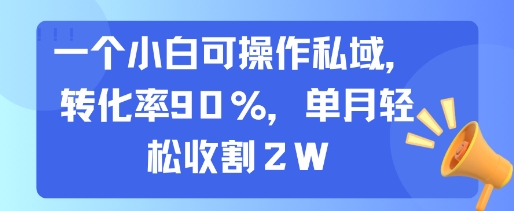 一个小白可操作私域，转化率90%，单月轻松收割2W-福源网创资源站