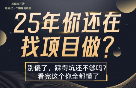 25年,你还在疯狂的找项目吗?别傻了,看完这个你都懂了【揭秘】-福源网创资源站