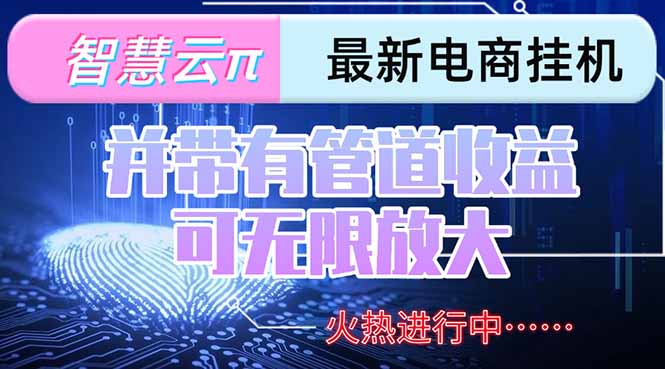 智慧云π电脑挂机单机每天收益300—500+ 并带有团队管道收益 可无限放大-福源网创资源站
