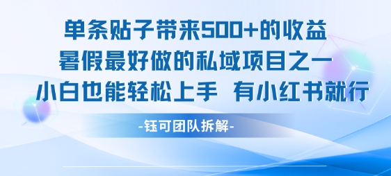 单条贴子带来5张的收益，暑假最好做的私域项目之一，小白也能轻松上手，有小红书就行-福源网创资源站