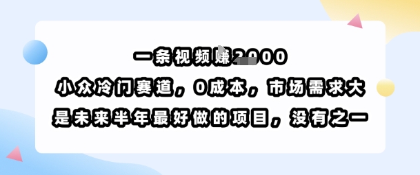 一条视频挣1k，小众冷门赛道，0成本，市场需求大，是未来半年最好做的项目，没有之一-福源网创资源站