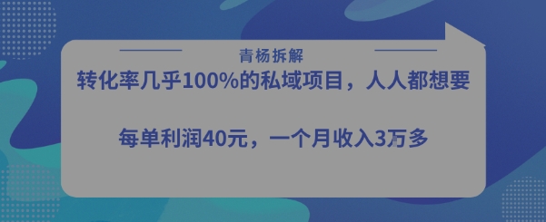 转化率最高的私域项目，每单利润40-50米，月入过1w-福源网创资源站