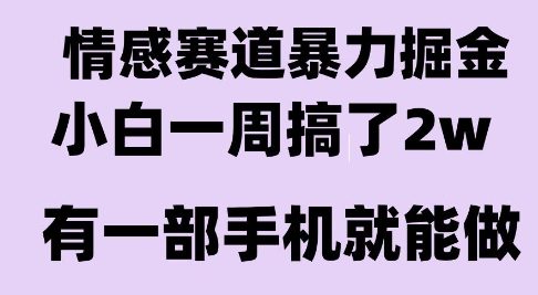 情感暴力掘金项目，新人操作一周挣了2W，长期稳定小白可做【揭秘】-福源网创资源站