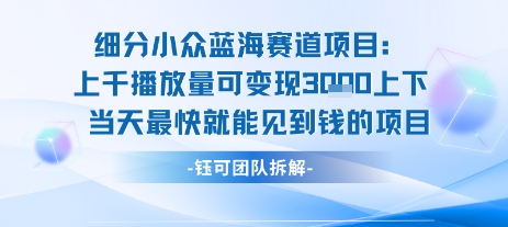 小众蓝海赛道项目：当天变现1k+适合新手操作 +适合长期玩-福源网创资源站