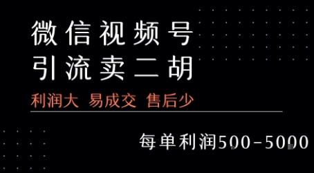 视频号卖二胡教程，利润大 易成交 售后少，一单利润5张+-福源网创资源站