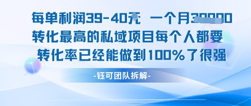 每单利润40一个月7k+转化最高的私域项目，每个人都要的产品转化率已经能做到100%-福源网创资源站