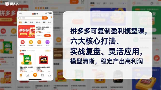 拼多多可复制盈利模型课，六大核心打法、实战复盘、灵活应用，模型清晰，稳定产出高利润-福源网创资源站