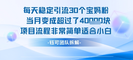 每天稳定引流30个人 当月变成超过了4个W项目流程非常简单适合小白-福源网创资源站