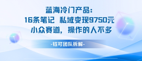 蓝海项目：16条笔记私域变现9750米小众赛道操作的人不多-福源网创资源站