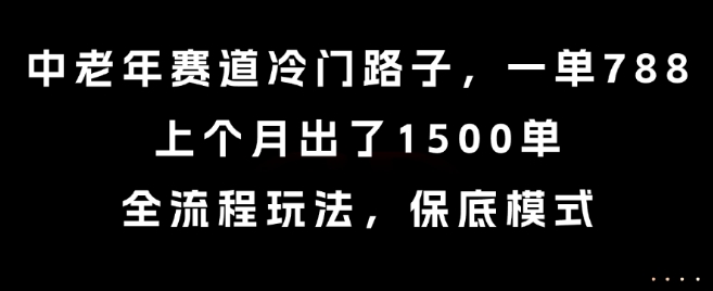 中老年赛道冷门路子，一单788，上个月出了1500单，全流程玩法，保底模式【揭秘】-福源网创资源站