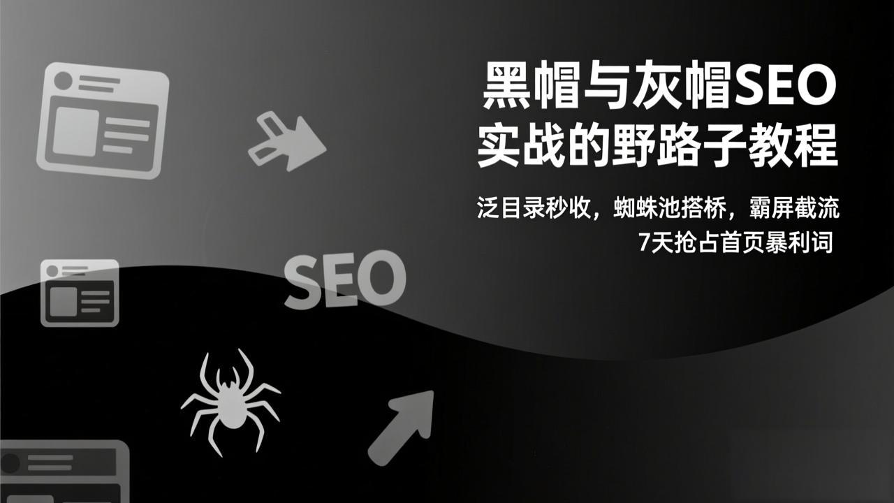 黑帽与灰帽SEO实战的野路子教程：泛目录秒收，蜘蛛池搭桥，霸屏截流，7天抢占首页暴利词-福源网创资源站