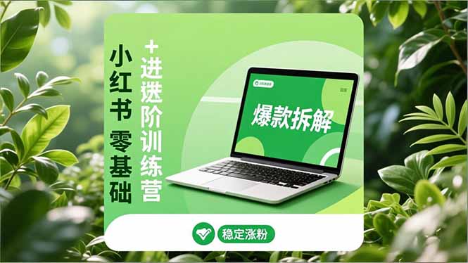 小红书零基础+高阶训练营：安全养号、爆款拆解、长效运营，实现稳定涨粉与变现-福源网创资源站