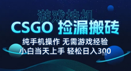 8月最新游戏搬砖，CSGO纯挂G，不需要玩游戏，实现真挂G，月入1W+【揭秘】-福源网创资源站