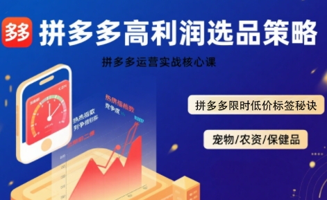 拼多多选品暴利技术实战课，拼多多高利润选品策略，拼多多限时低价标签秘诀-福源网创资源站