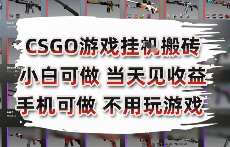 CSGO游戏挂G搬砖，小白纯手机即可操作，不用电脑打游戏，日入3张+，副业网创项目【揭秘】-福源网创资源站