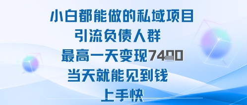 2025年小白都能做的私域项目引流负债人群最高一天变现1k+高变现难度低当天就能见到钱上手快-福源网创资源站