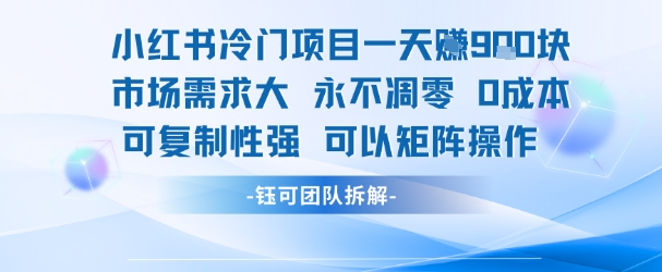 小红书冷门项目一天收益9张，市场需求大，0成本，可复制性强可以矩阵操作-福源网创资源站