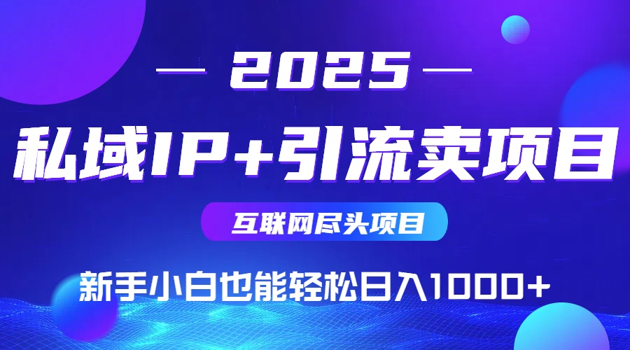 2025网创尽头项目，私域IP+引流，新手小白也能在家日入1000+-福源网创资源站