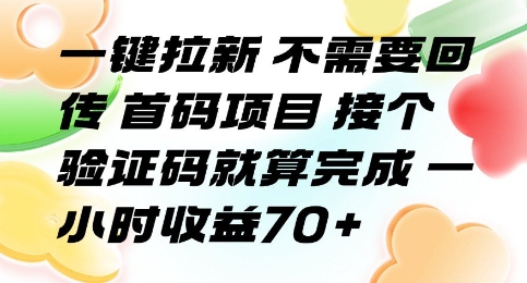 一键拉新 不需要回传 首码项目 接个验证码就算完成 一小时收益70+【揭秘】-福源网创资源站
